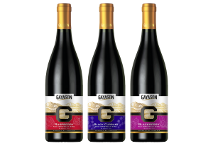 Gayason Fruit wines new-s