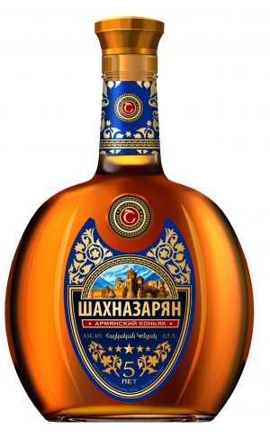 Шахназарян 5 0,5